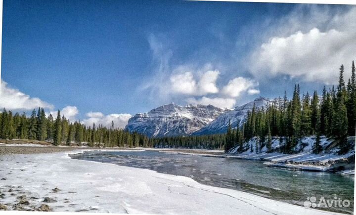 На Алтай зимой путевка экспедиции до 7 дн