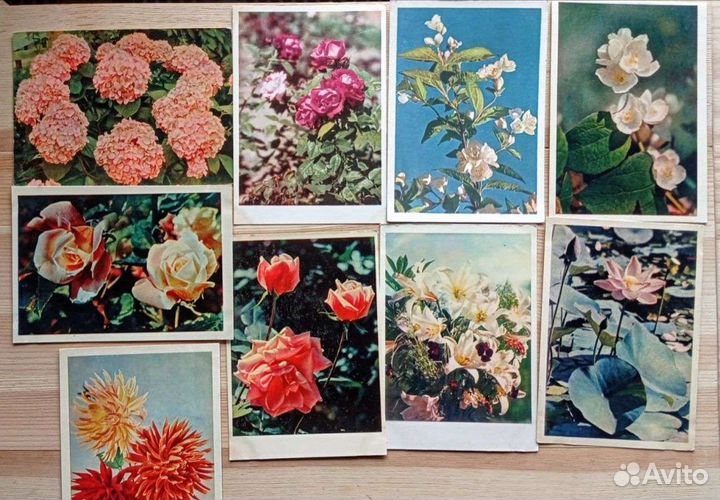 Винтажные фото цветов, 50-60е, 30 открыток