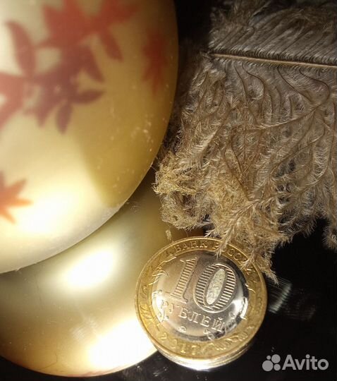 Монета 10р Тамбовская область