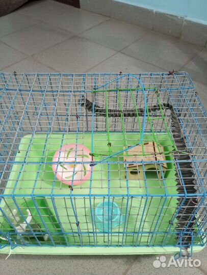 Клетка для грызунов, попугая
