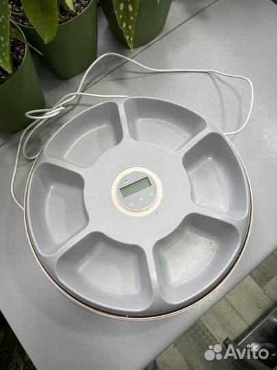 Автоматическая кормушка для кошек/собак