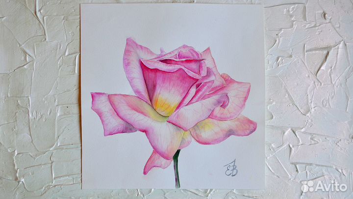 Картина акварелью много разные