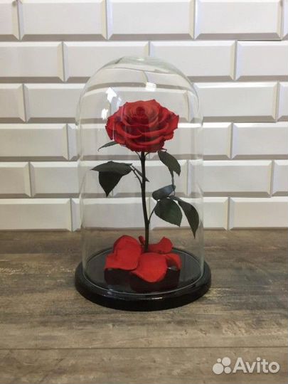 Роза в колбе. Оттенки на выбор