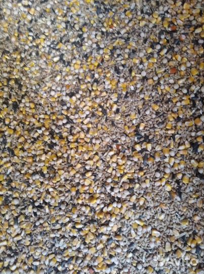 Зерно и зерносмесь каллорийная в х. Потапов