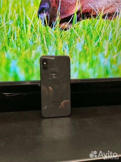 iPhone X, 256 ГБ