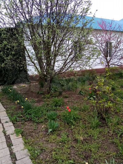 Дом 97 м² на участке 29 сот.