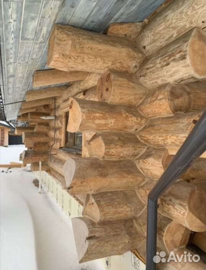 Сруб дома из крупного бревна