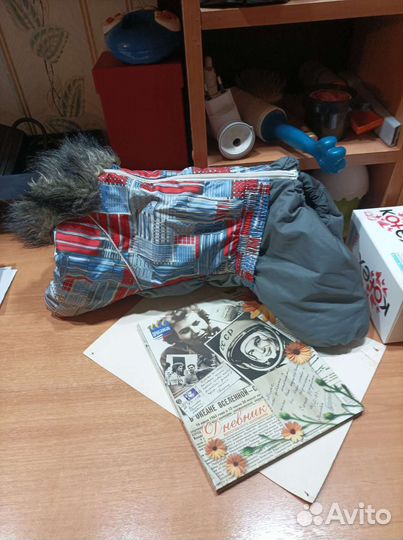 Одежда для животных