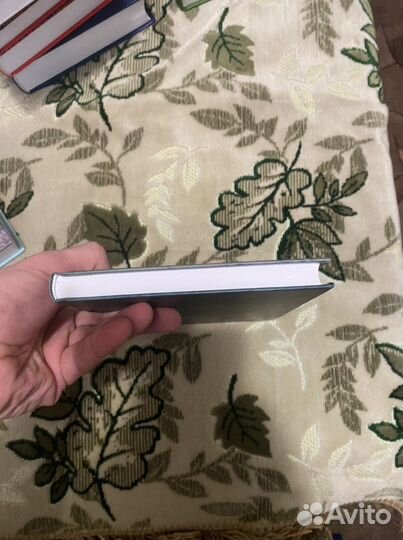 Ингушетия. История ингушетии. Кавказ