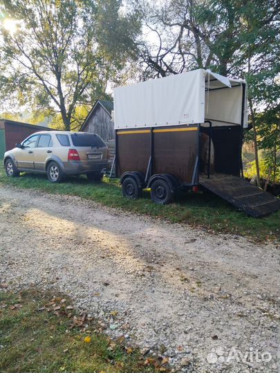 Бюджетная перевозка лошадей крс, мрс и снегоходов
