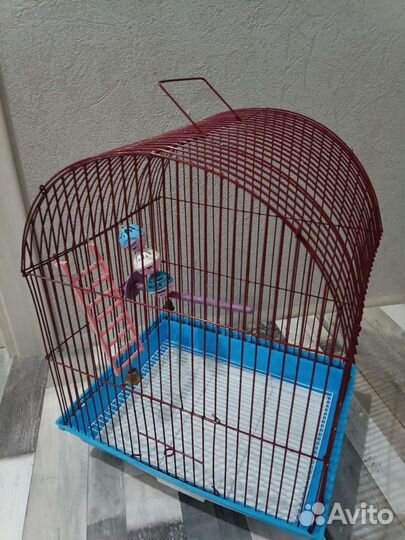 Клетка для попугая