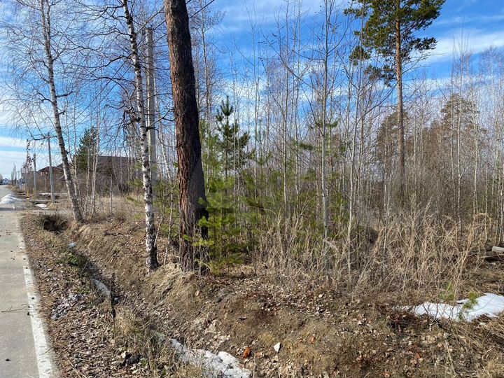 Участок 15,5 сот. (ИЖС)