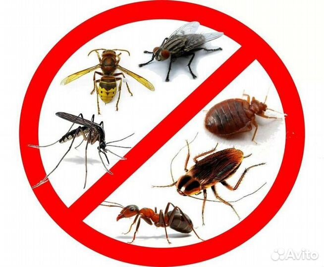 Дезинфекция,тараканы, клопы, и т д