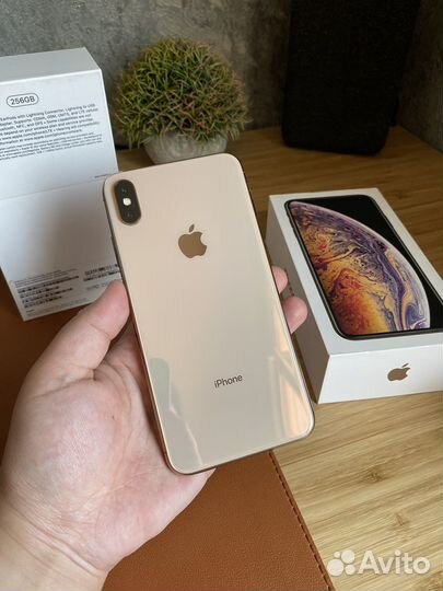 iPhone Xs Max, 256 ГБ