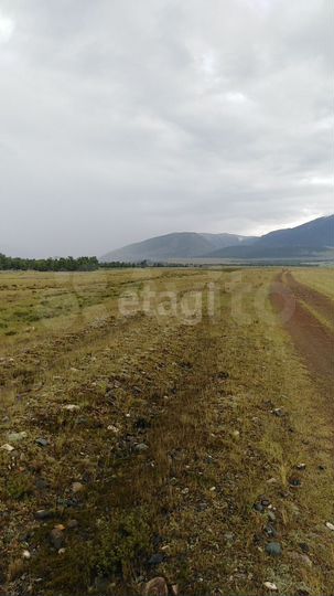 Участок 2,46 га (СНТ, ДНП)