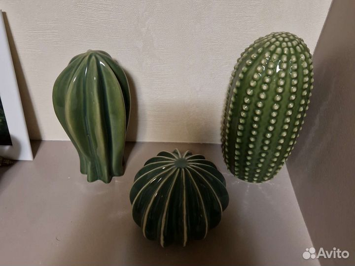 Кактусы Икеа
