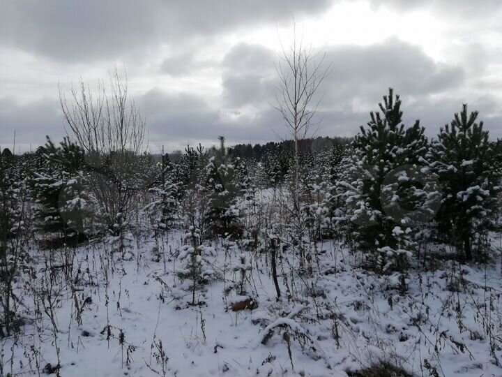 Участок 15 сот. (СНТ, ДНП)