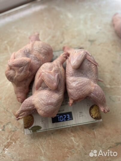 Мясо перепелов