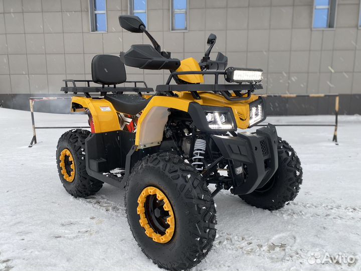 Квадроцикл Bison Warrior 200