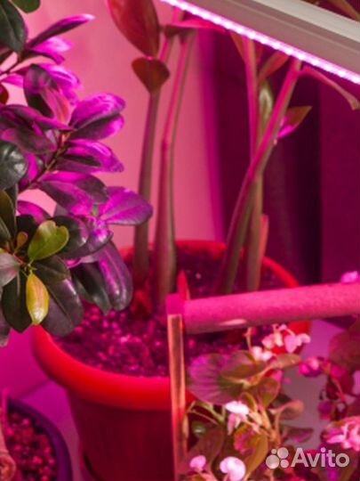 Светильник для растений