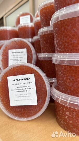 Свежая красная Икра Горбуши 2023