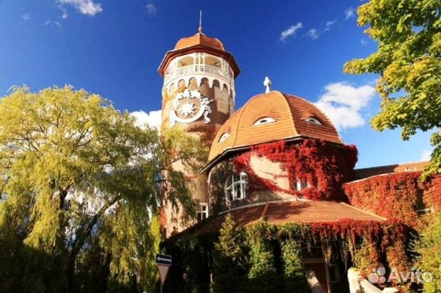 Отдыхай в Калининграде