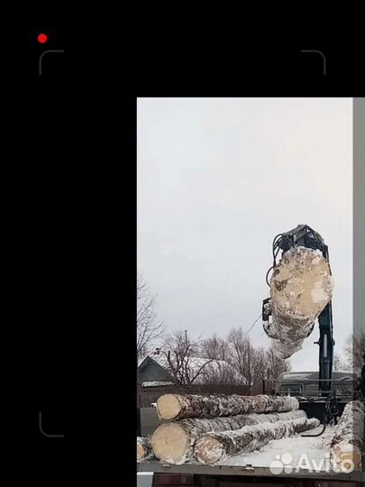 Бревно захват