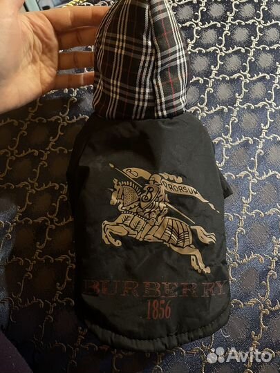 Куртка для собаки Burberry XS