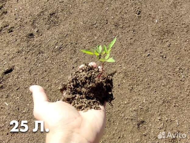 Коровий навоз удобрение (прелый) в мешках 25 литро