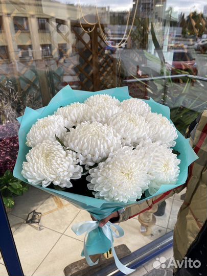 Букет из 11 крымских хризантем