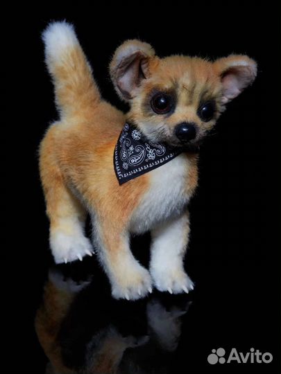 Собачка Венди