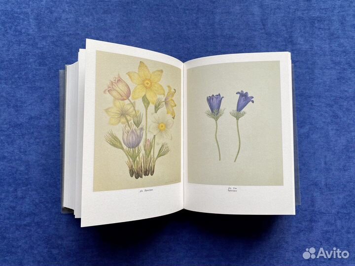 Акварели декабриста Петра Ивановича Борисова