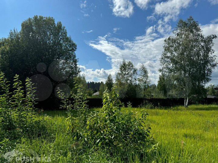 Участок 24,1 сот. (ИЖС)