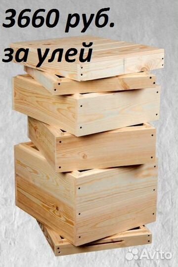 Улья Дадан 10и12р.Доставка по области