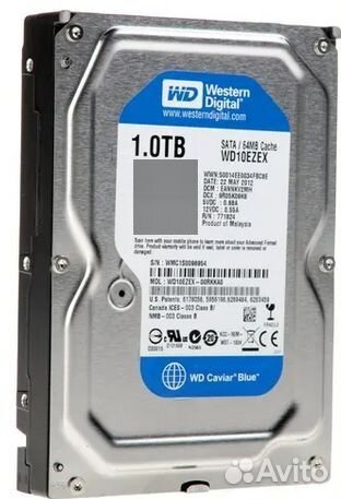 Wd Blue 1tb