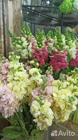 Цветы пачками