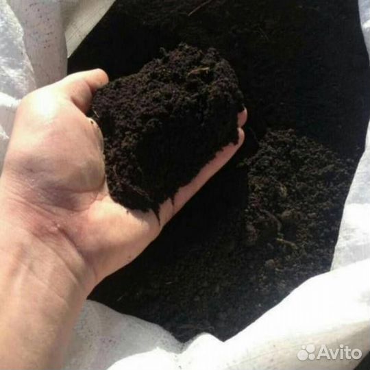 Купить Чернозем навоз перегной с доставкой