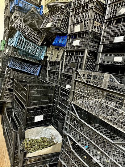 Ящики пластиковые для овощей