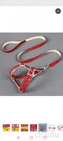 Шлейка для маленькой собаки