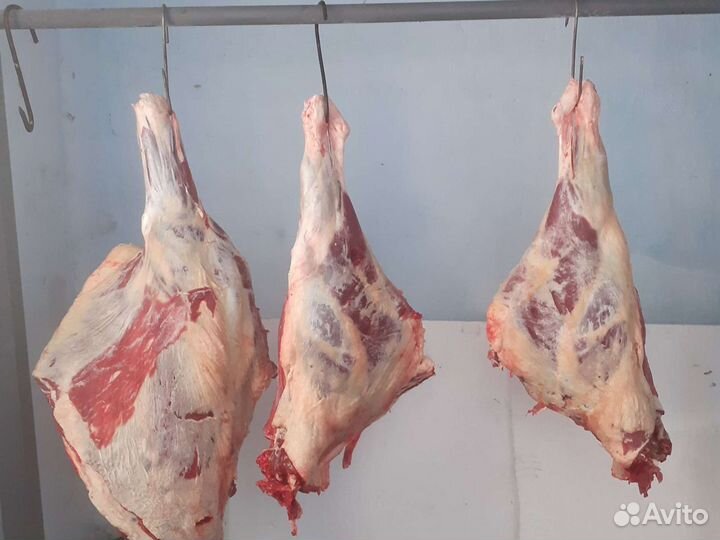 Мясо говядина молодая