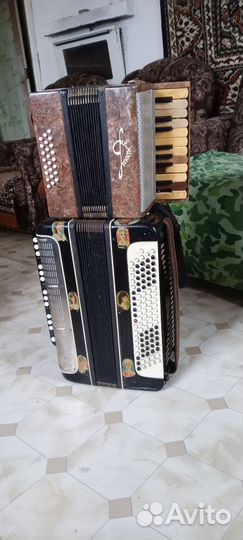 Баян Мелодия кировский