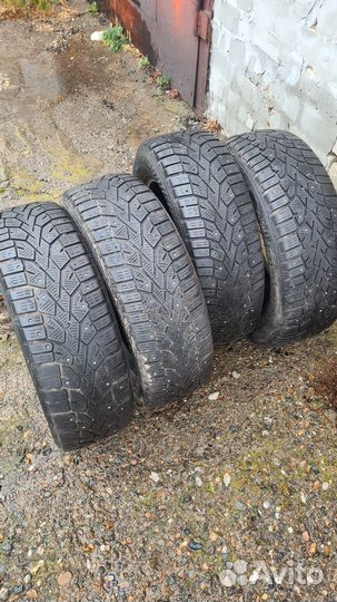Gislaved NordFrost 100 185/65 R15