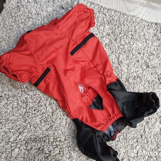 Дождевик для собаки (мальчика) новый и Шлейка