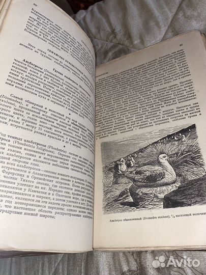 Книги жизнь животных
