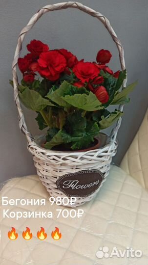 Женское счастье