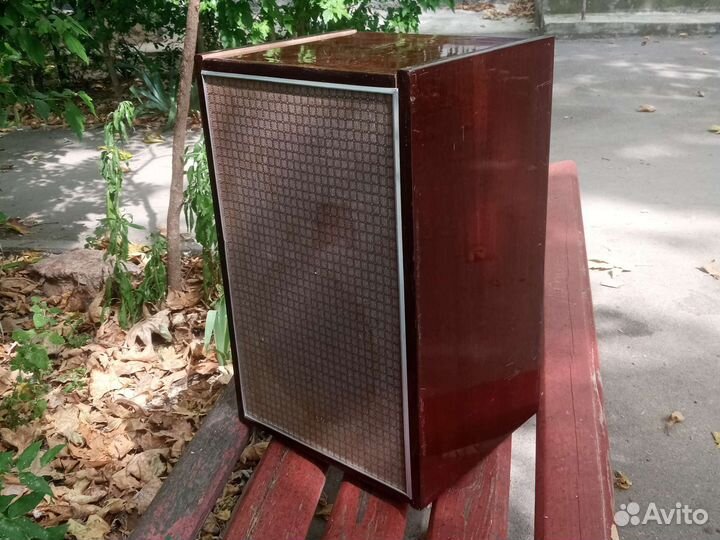 Акустическая колонка 10мас-1М