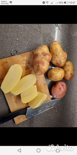 Продам картофель домашний бесплатная доставка