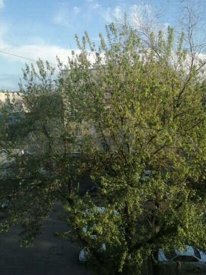 Комната 18 м² в > 9-к., 5/5 эт.