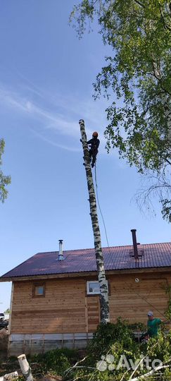 Спилить дерево