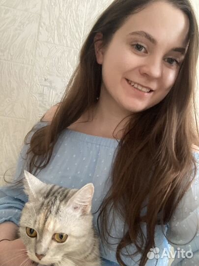 Милая кошечка в дар